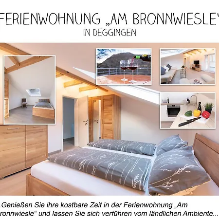 *am Bronnwiesle* Lejlighed